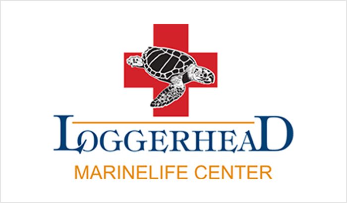Logo of Loggerhead Marine Life Center featuring a sea turtle and red cross.